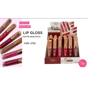 Lip Gloss Matte