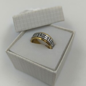 ANILLO GIRATORIO C/ GUARDA X6 (TALLES SURTIDOS)