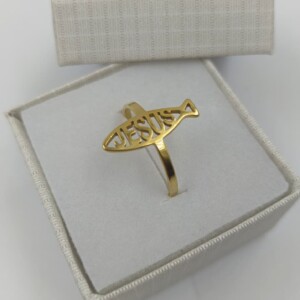 ANILLO JESUS A.D X6 (TALLES SURTIDOS)