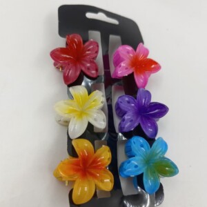 FLOR HAWAIANA MINI X6