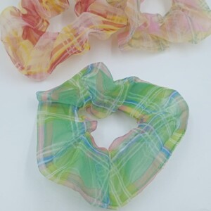 COLIN SCUNCY A CUADROS