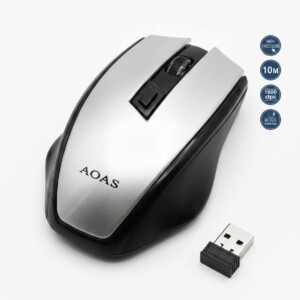 MOUSE AOAS