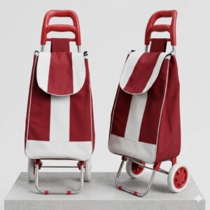 CARRO DE COMPRAS