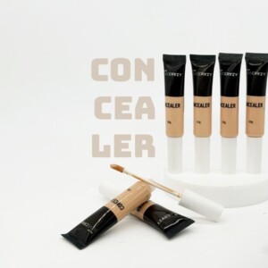 CORRECTOR LIQUIDO EN POMO